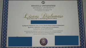 diploma tercümesi diploma örneği